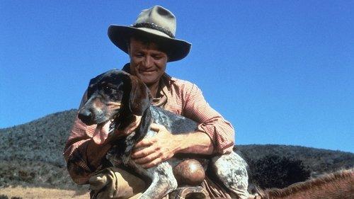 Savage Sam filmas žiurėti online