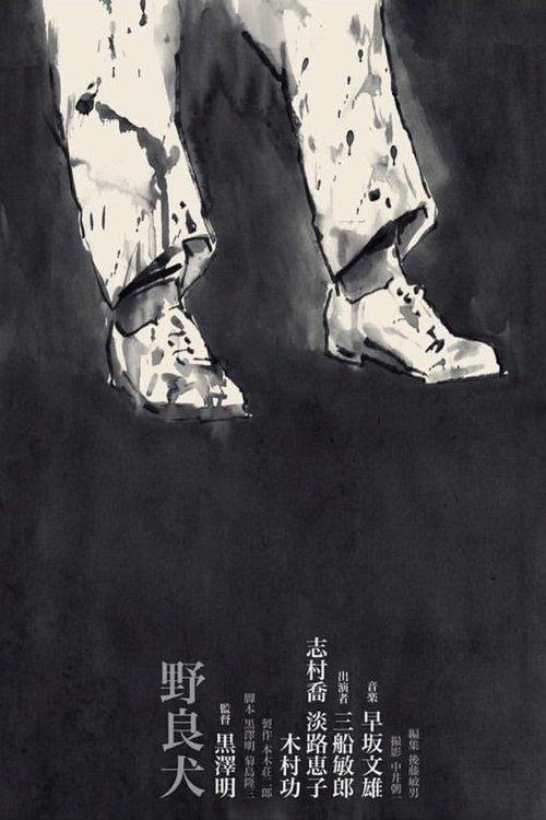 Benamis šuo filmas online