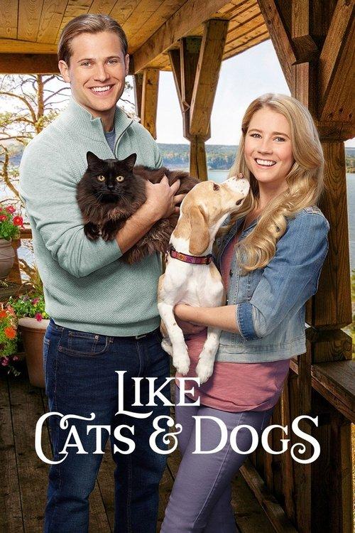 Like Cats & Dogs filmas online