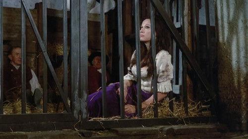 Hexen bis aufs Blut gequält filmas žiurėti online