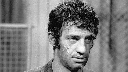 Sunday Buddies filmas žiurėti online