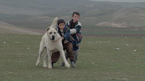 Sivas filmas žiurėti online