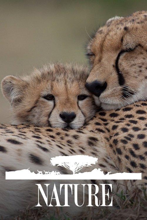 Nature filmas online