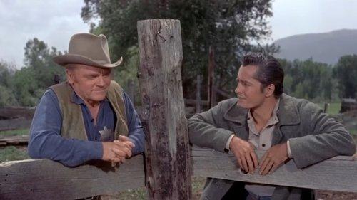 Run for Cover filmas žiurėti online