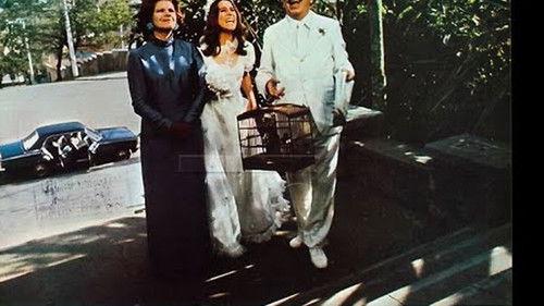 O Ibraim do Subúrbio filmas žiurėti online