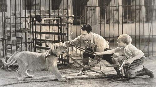 The Big Cage filmas žiurėti online