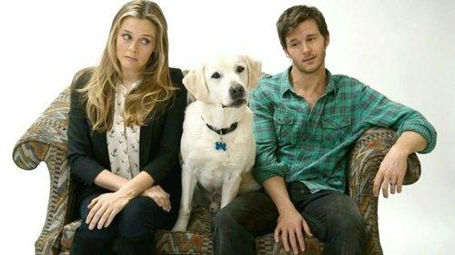 Who Gets the Dog? filmas žiurėti online