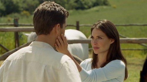 Shadows in the Sun filmas žiurėti online