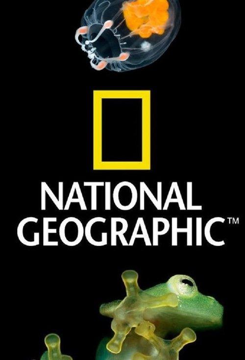 National Geographic 100 Years filmas online