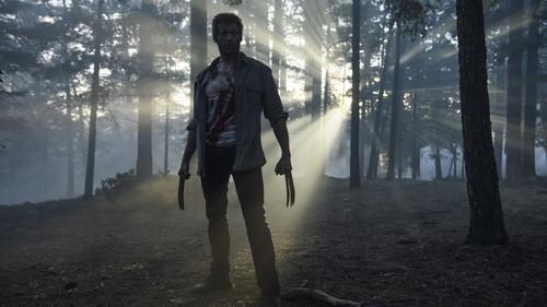 Loganas. Ernis filmas žiurėti online