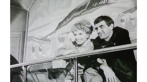 Är du inte riktigt klok? filmas žiurėti online