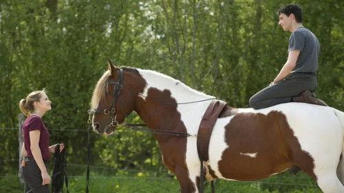 Falling for Love filmas žiurėti online