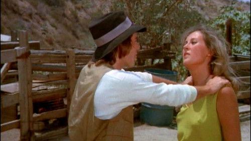 Country Cuzzins filmas žiurėti online