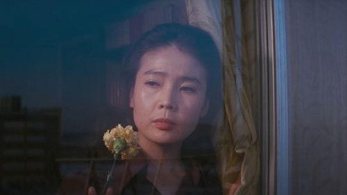 Night Journey filmas žiurėti online