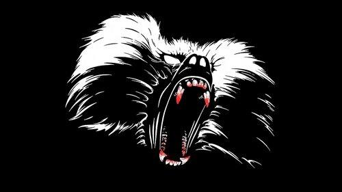 Shakma filmas žiurėti online