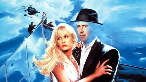 Memoirs of an Invisible Man filmas žiurėti online