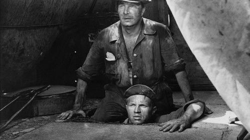 Bank Vault 713 filmas žiurėti online