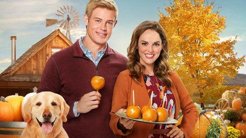 Love, Fall & Order filmas žiurėti online