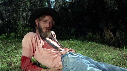 Cottonpickin' Chickenpickers filmas žiurėti online