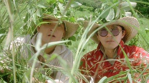 Lawyer Lawyer filmas žiurėti online