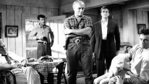 Hot Summer Night filmas žiurėti online