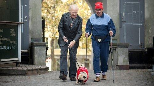 The Stig-Helmer Story filmas žiurėti online