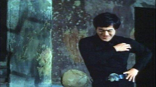 Fists of Bruce Lee filmas žiurėti online