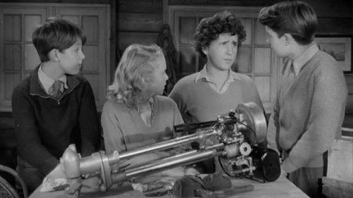 Five on a Treasure Island filmas žiurėti online