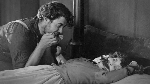 Wild Oranges filmas žiurėti online