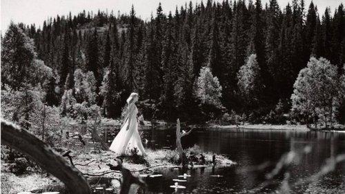 Lake of the Dead filmas žiurėti online