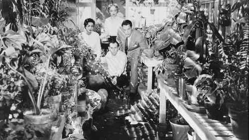 Invasion of the Body Snatchers filmas žiurėti online