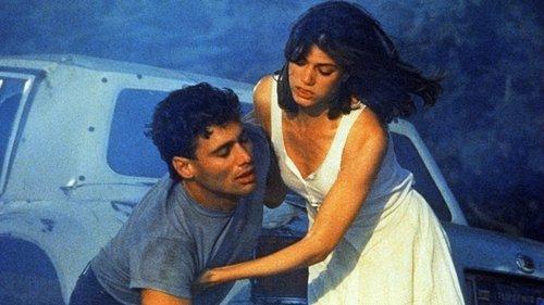 Wildfire filmas žiurėti online