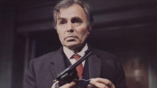 Stranger in the House filmas žiurėti online