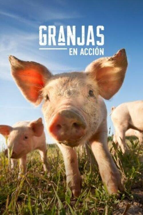 Granjas en acción filmas online