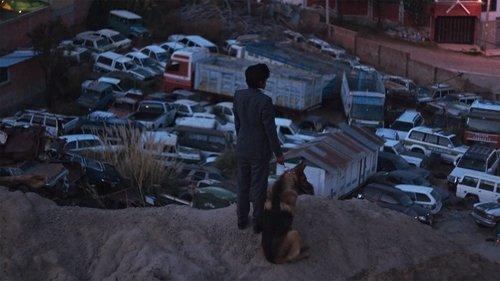 El Ladrón de Perros filmas žiurėti online