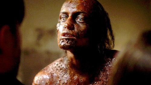 Bite filmas žiurėti online