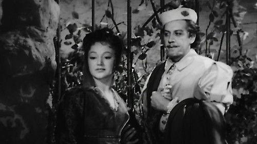 The Taming of the Shrew filmas žiurėti online