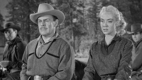 Woman They Almost Lynched filmas žiurėti online