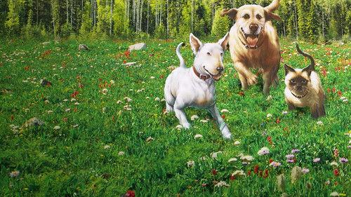 The Incredible Journey filmas žiurėti online