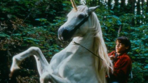 Nico the Unicorn filmas žiurėti online