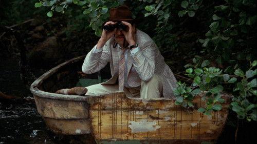 The Rooster filmas žiurėti online