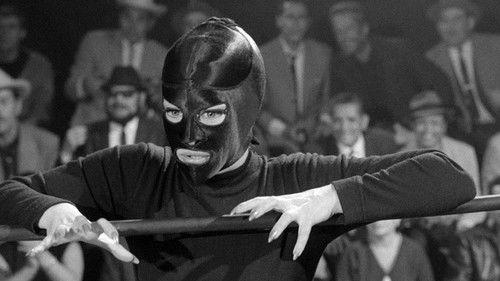 The Panther Women filmas žiurėti online