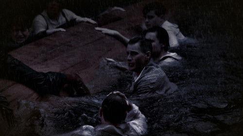 Brotherhood filmas žiurėti online