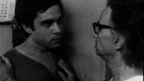 The Guerrilla Fighter filmas žiurėti online