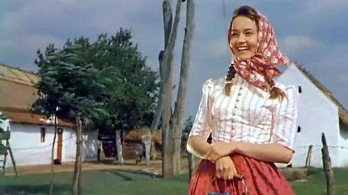 Ich denke oft an Piroschka filmas žiurėti online