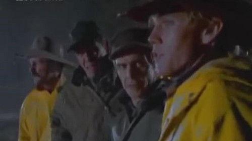 Heart Full of Rain filmas žiurėti online