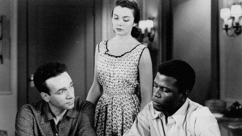 Go Man Go filmas žiurėti online