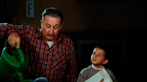 Ci hai rotto papà filmas žiurėti online