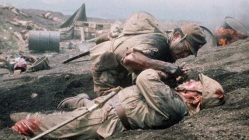 The Battle of Okinawa filmas žiurėti online