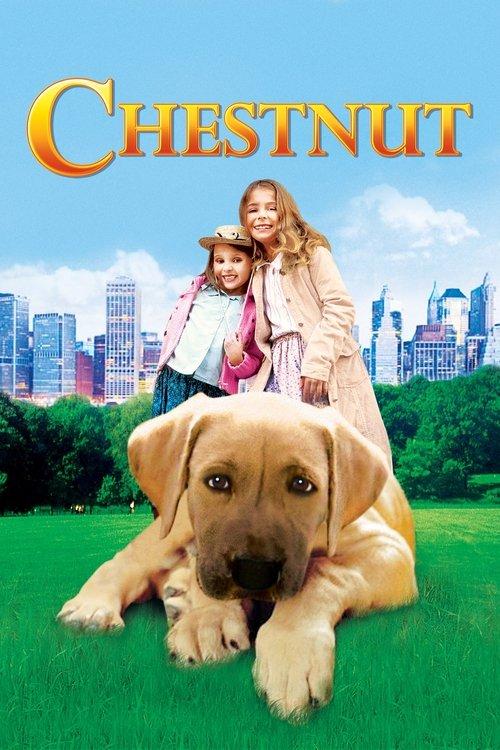 Chestnut: Hero of Central Park filmas online